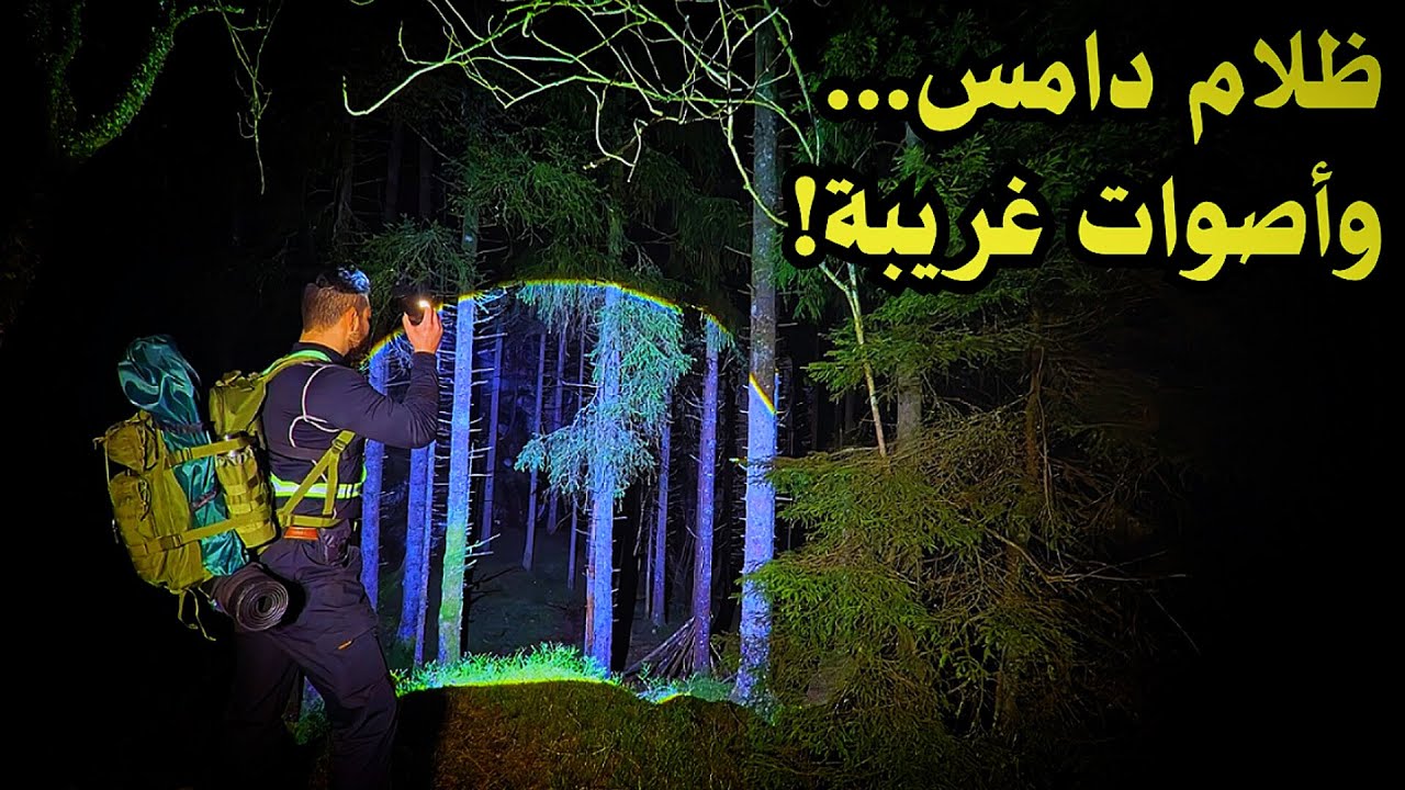مغامرة استكشاف غابة مجهولة في منتصف الليل بمفردي | أجواء خرافية وطهي في الغابة!